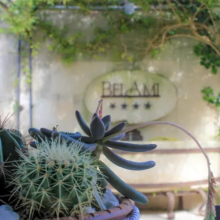 贝拉米酒店 酒店 马利耶